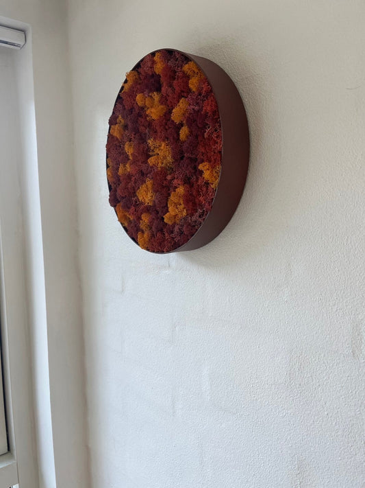 Mosly Efterår Design - Moskunst i Efterårsfarver - Mosly.dk