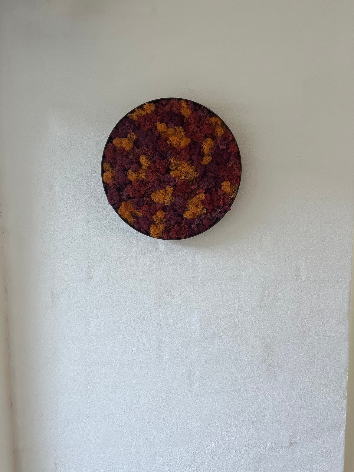 Mosly Efterår Design 🍂