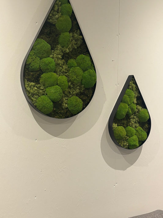 Mosly Dråber - Naturlig Moskunst i Dråbeform