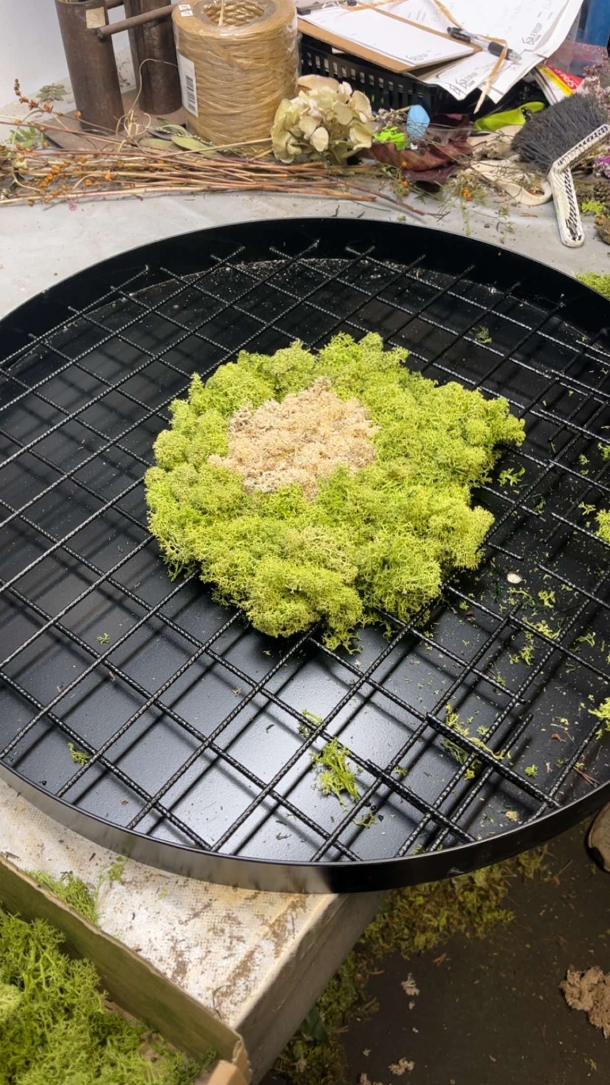 Design Dit eget Mosly