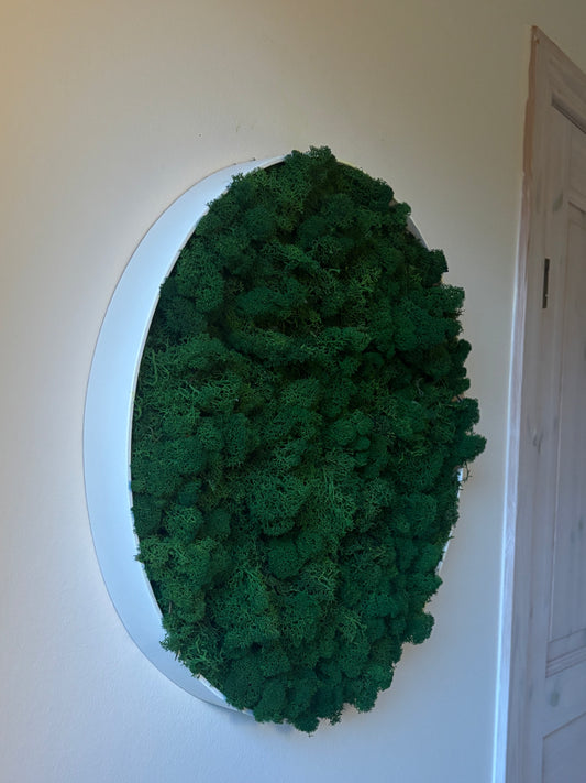 Mosly - Hvid egetræramme med ægte Mos